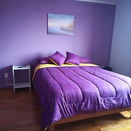 Appartement Puq Casa Amigos à Punta Arenas Extérieur photo