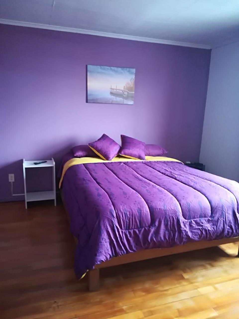 Appartement Puq Casa Amigos à Punta Arenas Extérieur photo